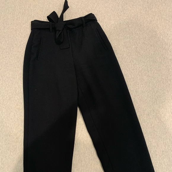 Aritzia tie-front jallade pants - Picture 4 of 6